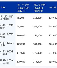 重庆16所民办小学学费曝光,最高245000元