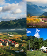 ȥ¶Ӫ컨壬дʿĸо