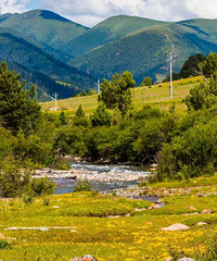 عҵĴ·ߣӾƵİɫֵ