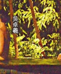 吴卓羲曾和人妻玩泳池play