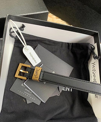 ������Զ����ʥ����yslƤ������ֵ��������