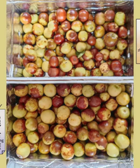 �ⶬ���OK��ˬ�ڱ��𣡣�������׼�����򼸵�