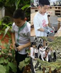 打谷子、做木工,学校劳动课太有意思啦