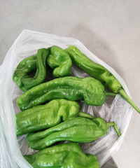 �����߲˵ļ۸���ô���ˣ��ཷ���ӽ�1��Ǯһ����