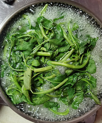 ���Ƽ��ʲͣ�ˮ�����Щ