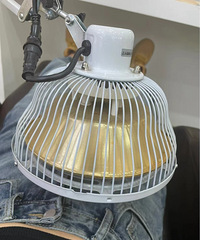 �������ʹ����������������Ƽ�