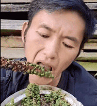 吃播博主学神农尝百草