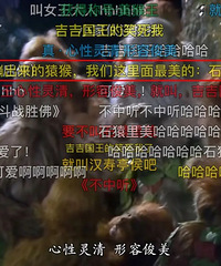 千万别在B站开弹幕看《四大名著》