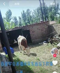 ֱЩ׵Ķְֵһλ4.54ͷ