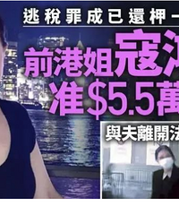 寇鸿萍是怎么从阔太沦为阶下囚的?