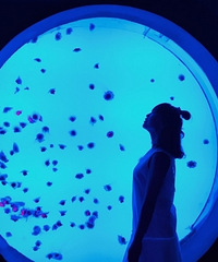 30��163CM��С������飬���ǹ���ҽԺҽ��