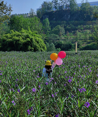 ǵͻõطˣˮԱ߾Ƕͯ԰