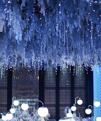 ����ȥ���ϲμӴ�ѧ���û����Ƽ�ֻ�к��ϳ���ʽϷ������