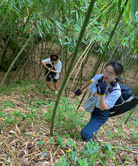 92��155CM������С������飬ϣ���Է�29~38��