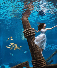 35��160CM����Ы��С������飬ע�Ṥ��ʦ