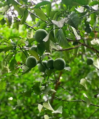 ��������ճ��������٤��Ϣ������Ʒ����������ʲ�