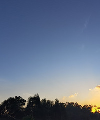 �������ѡ����һ����������ů�ĵط��������С�����ǰ�����