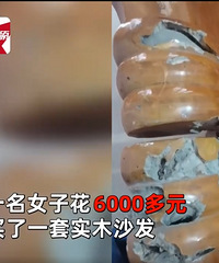 女子花6000元买实木沙发,没想到内部居然全都是水泥