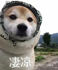 为了省钱,结果花了更多钱的悲惨经历