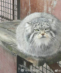 йΨһȦΪԼ⿨ˣ̫ϧ