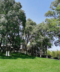 86��161CM����20���С������飬����Ӫ����������