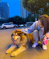 96��168CM���˶���˫�����������飬�����һ����к���