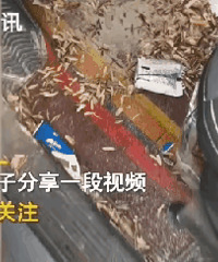 �����ڼ�賵�����ѣ�������ʱ���ĵ����黹�Ƿ�����