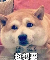 有哪些东西在你心中是“天花板”的存在,一人安利一个!互相种草