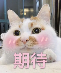 姐妹们!有什么适合放在衣柜里让衣服变香的东西?求推荐