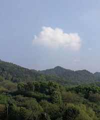 今天来聊聊那些错过的梦中情房,舜山府、壹号半岛、悦江国际..