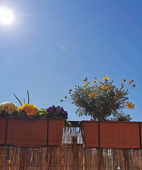 ������Ѫ��Сtips�������ײ���Ч