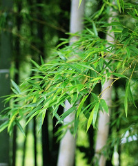 90年的天秤座自由攒稿人征婚,希望对方是95后