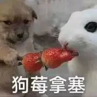 聊聊你买过的好用唇膏,平价、贵货都可,一起种草吧