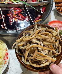 �����Ŷӣ��ĵ������Ի���ˡ�����