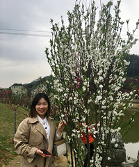 92��155CM����ҽԺ��Ůҽ�����飬ϣ���Է�35������