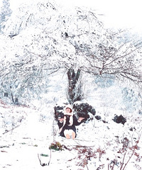 88��162CM�������С������飬��ϣ������Ҵ�С̫��