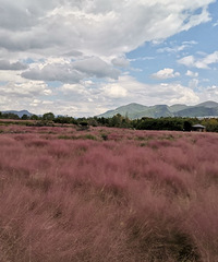 ����Ź���ڳ�ȥˣ��ɹ���ˣ����쿪ʼ��Ƥ��