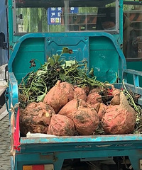 ��б��˸ߣ���ͷ��ͷ��ɽ����ʳ�ﶼ��ô�����