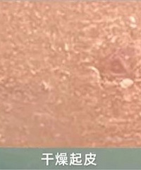 6000�鲻��16�飿ʵ��20��������˪����ʪ���ƽ����ļ�ǿ