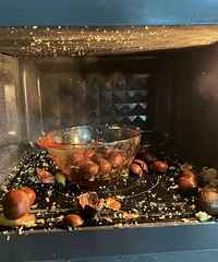 ��ôû�˸����Ұ������ܽ�΢��¯��������е��