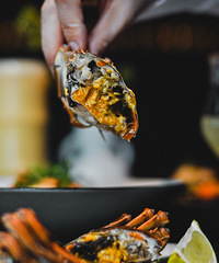 ����÷�²˷��Ȧ�ۣ��ر��ǻ�����з��ǿ��