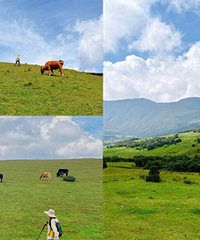 大理新玩法,这条小众徒步路线太值了