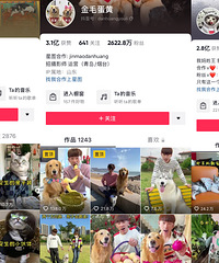 00后宠物博主,月流水10万+