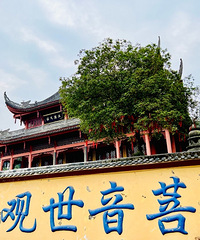 单身小哥周末来寺庙静心,30多分钟就到,2块钱门票,停车免费