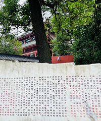 单身小哥周末来寺庙静心,30多分钟就到,2块钱门票,停车免费