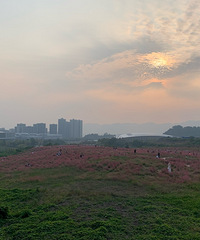 ���û����������ö��ˡ�