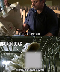 ����������ǻ���Զ�����Ҹо��е�����������