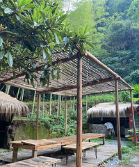 ǳСڵͽ·ߣһ·羰̫