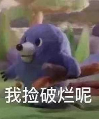 双11要到了,相比去年,你们的预算是多了还是少了?
