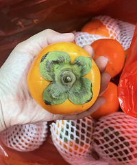pdd脆柿9.9元超甜,嘎嘎脆!爱吃的可以冲